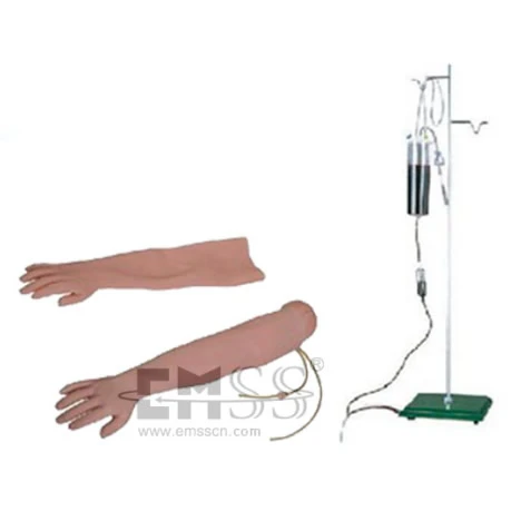 แบบจำลองแขนแขน Venipunture และ Intramuscular Injection